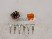 CNDEU6P - Deutsch 6 Way Male Connector